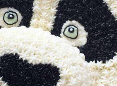 Bolos Kids Collection